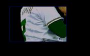 Tony La Russa Baseball II