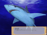 Tristia Doki! Doki! Operation