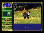 Trivial Pursuit: CD-ROM Edition