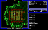 [Ultima V: Warriors of Destiny - скриншот №17]