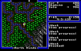 [Ultima V: Warriors of Destiny - скриншот №20]