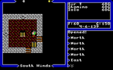 [Ultima V: Warriors of Destiny - скриншот №25]