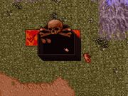 Ultima VII: Serpent Isle