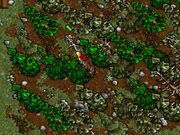 Ultima VII: The Black Gate