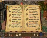 [Ultima IX: Ascension - скриншот №6]