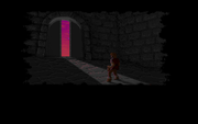 Ultima Underworld: The Stygian Abyss