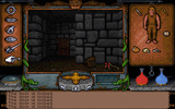 [Ultima Underworld: The Stygian Abyss - скриншот №1]