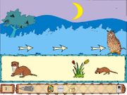 Uma Aventura no Parque Natural da Serra de S. Mamede