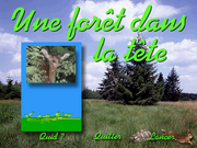 Une forêt dans la tête