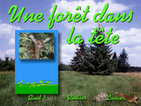 [Une forêt dans la tête - скриншот №1]