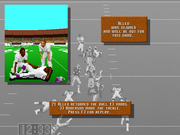 Unnecessary Roughness '95