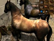 Versailles II: Le Testament