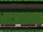 Versailles II: Le Testament