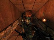 Vietnam 2: Special Assignment