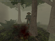 Vietnam 2: Special Assignment