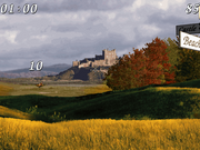 Virtuelle Moorhuhn Jagd