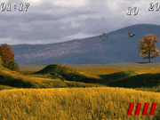 Virtuelle Moorhuhn Jagd