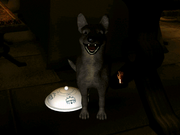 Les Visiteurs: Le Jeu