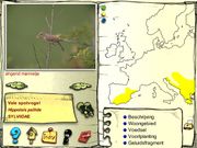 De vogels in onze tuin