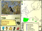 De vogels in onze tuin