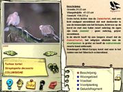 De vogels in onze tuin