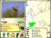 De vogels in onze tuin