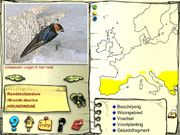 De vogels in onze tuin
