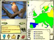 De vogels in onze tuin