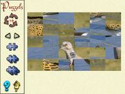 De vogels in onze tuin