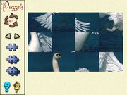 De vogels in onze tuin