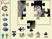 De vogels in onze tuin