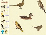 De vogels in onze tuin