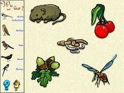 De vogels in onze tuin