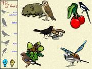 De vogels in onze tuin