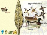 [De vogels in onze tuin - скриншот №31]