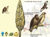 [De vogels in onze tuin - скриншот №39]