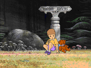 Волшебный сон