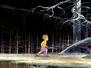 Волшебный сон