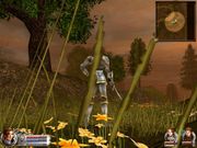 Wars and Warriors: Joan of Arc