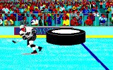 [Wayne Gretzky Hockey - скриншот №2]