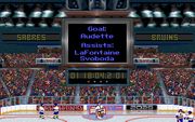 Wayne Gretzky Hockey 3