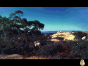 Welcome to the Future