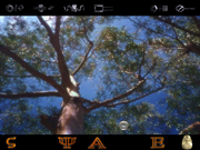 Welcome to the Future