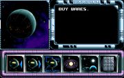 Whale's Voyage
