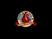 Where in the U.S.A. Is Carmen Sandiego?