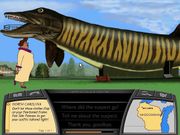 Where in the U.S.A. Is Carmen Sandiego?