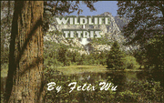 WildLife Tetris