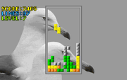 WildLife Tetris