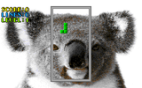 [Скриншот: WildLife Tetris]