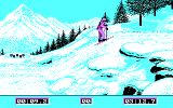 [Winter Olympiad 88 - скриншот №8]